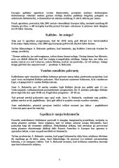 Lietuvos ekstremalios situacijos 8 puslapis