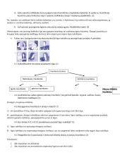 Imuninė sistema: kontrolinis darbas 2 puslapis