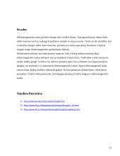 Elektromagnetinė tarša ir jos poveikis žmogui 12 puslapis