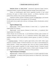 Elektroninė bankininkystė bei jos perspektyvos 11 puslapis