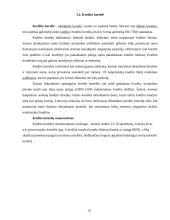 Elektroninė bankininkystė bei jos perspektyvos 12 puslapis