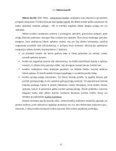 Elektroninė bankininkystė bei jos perspektyvos 13 puslapis