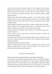 Elektros instaliacija 4 puslapis