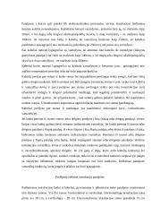 Elektros instaliacija 5 puslapis