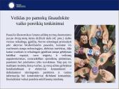 Alfa kartos vaikų ugdymas 17 puslapis