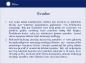 Alfa kartos vaikų ugdymas 20 puslapis