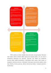 Strateginių verslų analizė: „Electronic Arts“ 9 puslapis