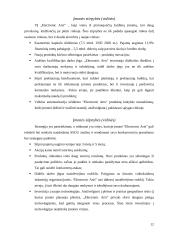 Strateginių verslų analizė: „Electronic Arts“ 10 puslapis