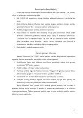 Strateginių verslų analizė: „Electronic Arts“ 11 puslapis