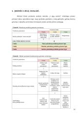 Strateginių verslų analizė: „Electronic Arts“ 12 puslapis