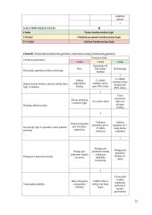 Strateginių verslų analizė: „Electronic Arts“ 13 puslapis