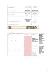 Strateginių verslų analizė: „Electronic Arts“ 15 puslapis