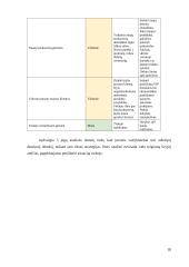 Strateginių verslų analizė: „Electronic Arts“ 16 puslapis