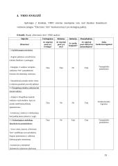 Strateginių verslų analizė: „Electronic Arts“ 17 puslapis