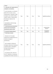 Strateginių verslų analizė: „Electronic Arts“ 18 puslapis