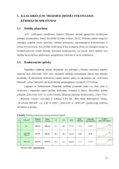 Strateginių verslų analizė: „Electronic Arts“ 19 puslapis