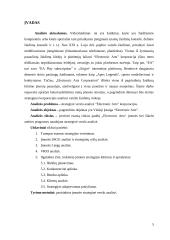 Strateginių verslų analizė: „Electronic Arts“ 4 puslapis