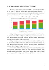 Strateginių verslų analizė: „Electronic Arts“ 5 puslapis