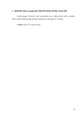 Strateginių verslų analizė: „Electronic Arts“ 8 puslapis