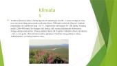 Tundros gamta, klimatas bei ekonomika 4 puslapis