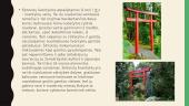 Šintoizmas - senoji japonų religija 7 puslapis