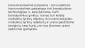 Irano branduolinė politika ir tarptautinės sankcijos: istorija ir dabartis 2 puslapis