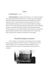 Atominė energija bei branduolinės jėgainės 2 puslapis