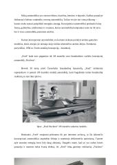 Atominė energija bei branduolinės jėgainės 12 puslapis