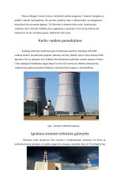 Atominė energija bei branduolinės jėgainės 9 puslapis