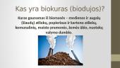 Biokuras (biodujos) 2 puslapis