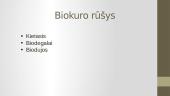 Biokuras (biodujos) 3 puslapis