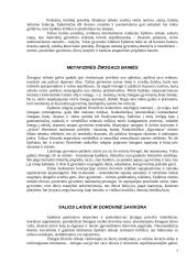 Epikūro etikos bruožai 7 puslapis