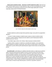 Pagrindų ir pamatų stiprinimas 4 puslapis