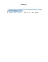 Pagrindų ir pamatų stiprinimas 6 puslapis