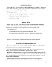 Atraminių sienų įrengimas 2 puslapis