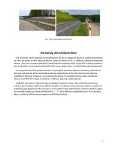 Atraminių sienų įrengimas 5 puslapis