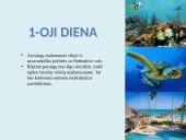 Kelionės į Barbadosą planavimas 5 puslapis