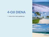 Kelionės į Barbadosą planavimas 8 puslapis