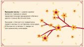 Китайский новый год 3 puslapis