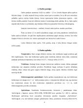 Ergonomika - darbo vietos svarba 4 puslapis