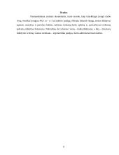 Ergonomika - darbo vietos svarba 8 puslapis