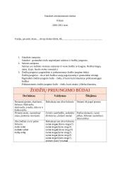 Sintaksės teorinė medžiaga