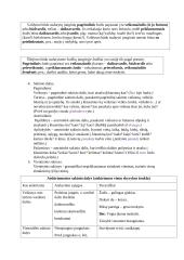 Sintaksės teorinė medžiaga 2 puslapis