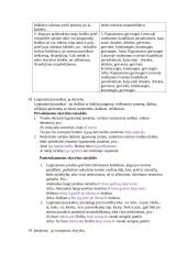 Sintaksės teorinė medžiaga 11 puslapis