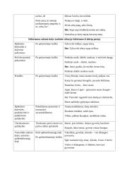 Sintaksės teorinė medžiaga 3 puslapis