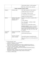 Sintaksės teorinė medžiaga 4 puslapis