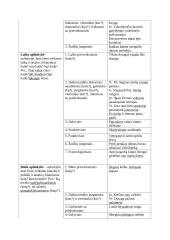 Sintaksės teorinė medžiaga 7 puslapis