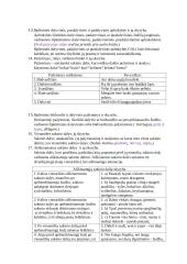 Sintaksės teorinė medžiaga 10 puslapis