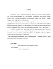 Išsami darbo vietos ergonomikos analizė 2 puslapis
