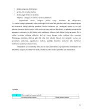 Išsami darbo vietos ergonomikos analizė 11 puslapis